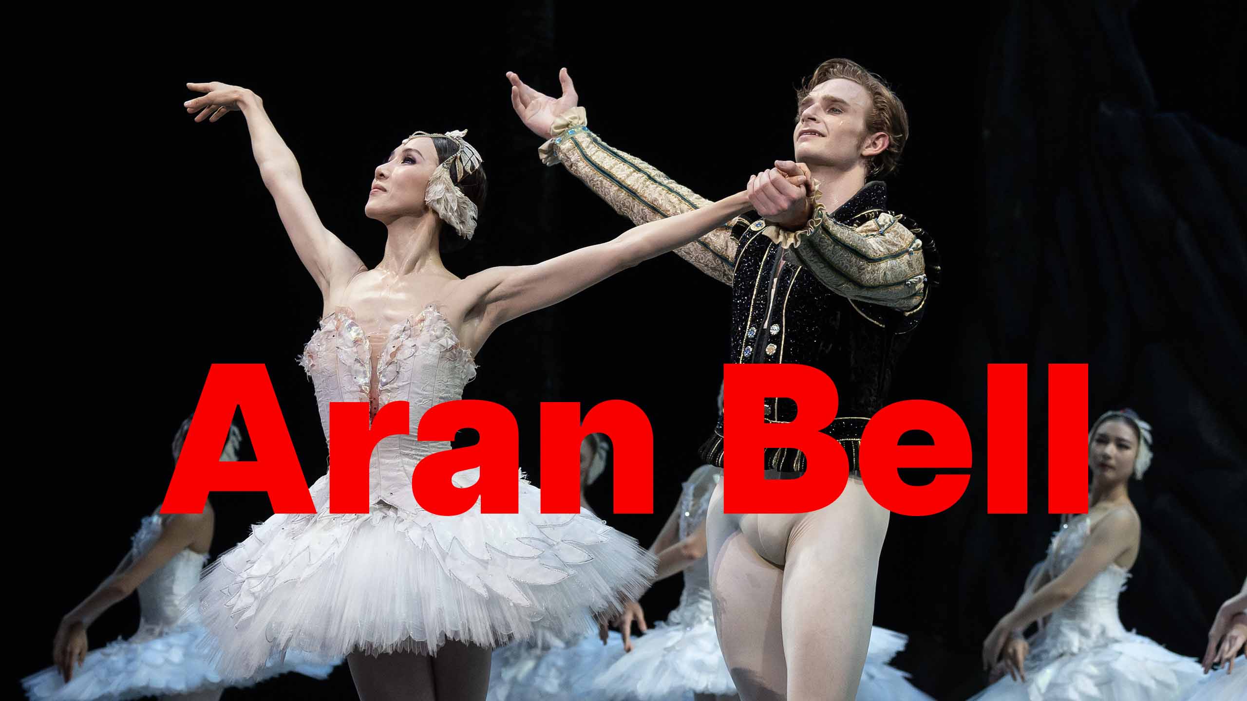 Aran Bell Swan Lake variations