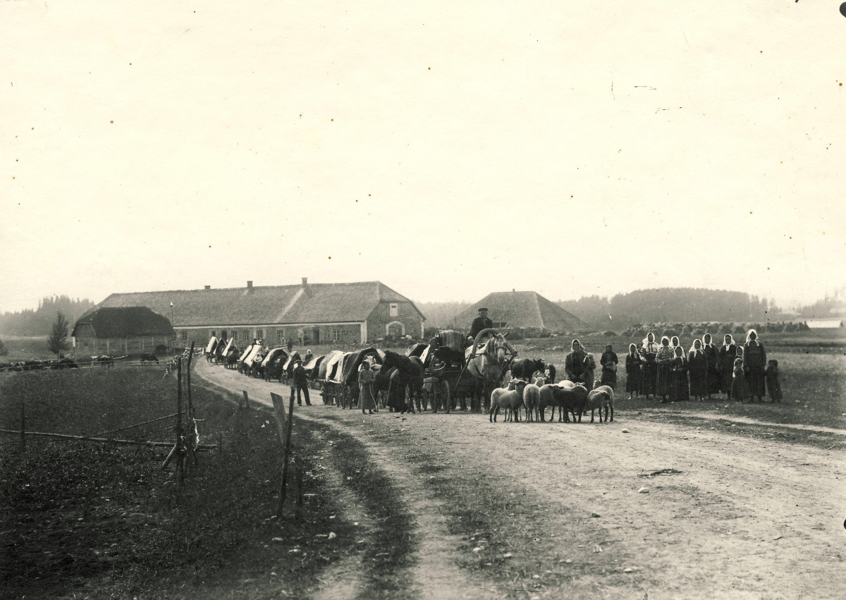 large e78def8b121ff755b