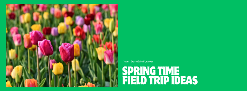 Spring Field Trips to Plan for This Year