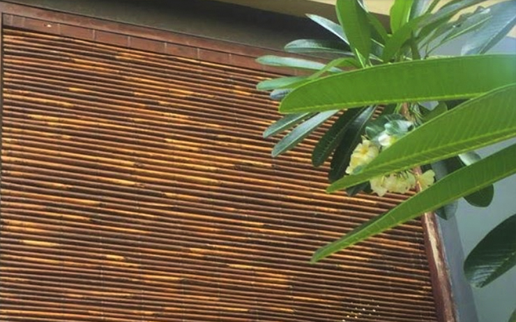 Our extra wide roller blinds are supplied with a luxury smooth action . Bamboo Blinds Lanka - Outdoor Blinds