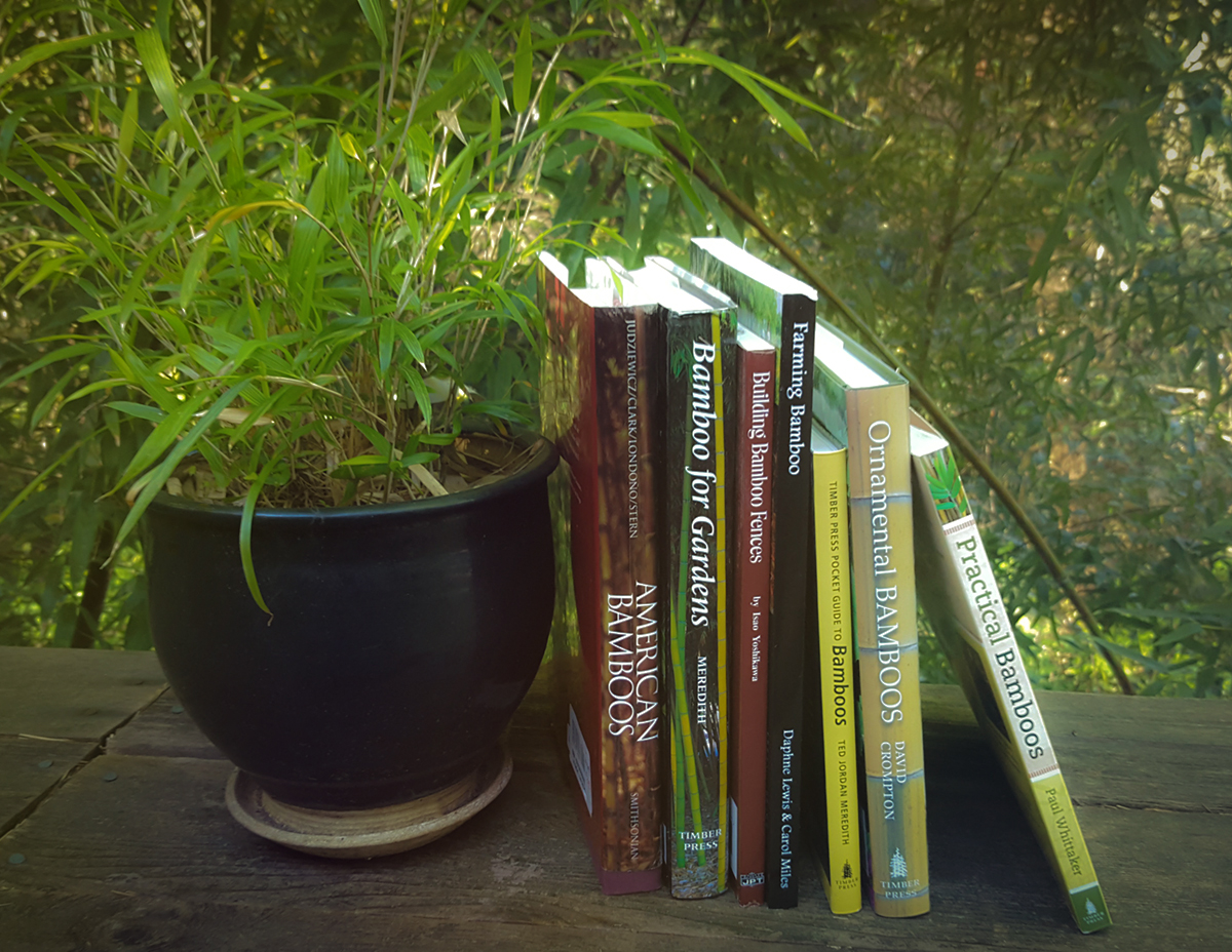 boo-books.jpg?fit=1200,928&ssl=1
