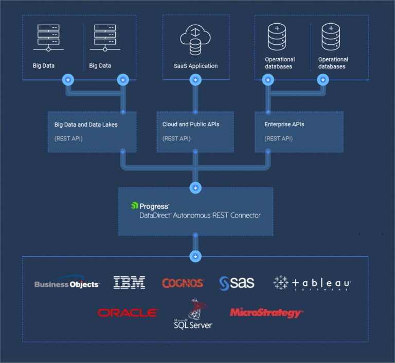 Progress Datadirect Baobab Software - Premium Space Illustration Gallery - High Resolution