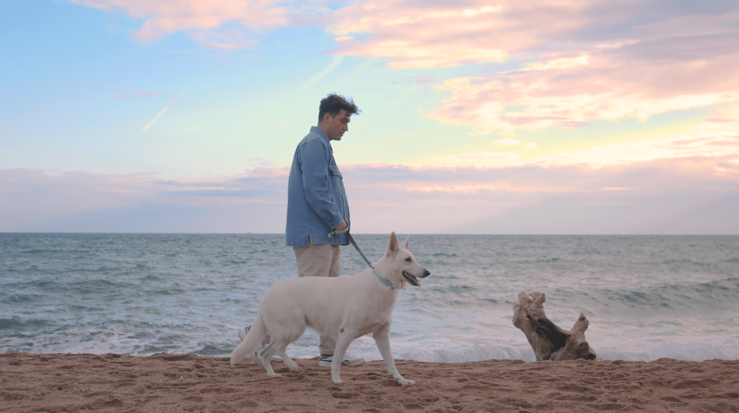 pasear tu perro
