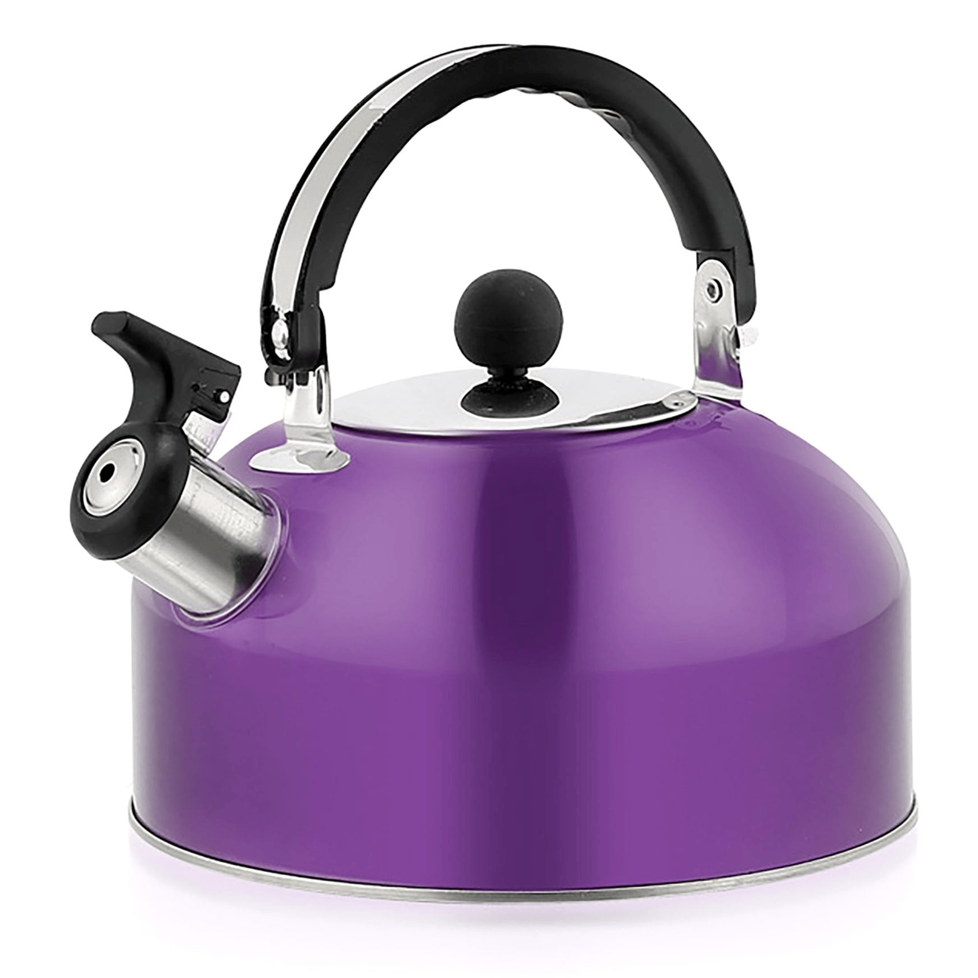 Stainless Steel 3L Whistling Tea Kettle