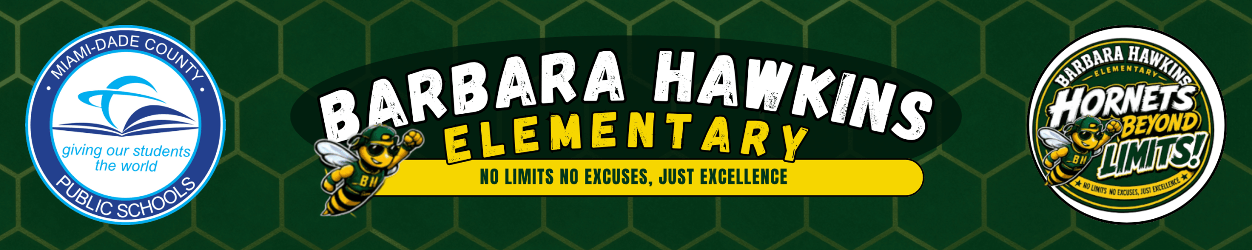 BarbaraHawkins-Header-R01