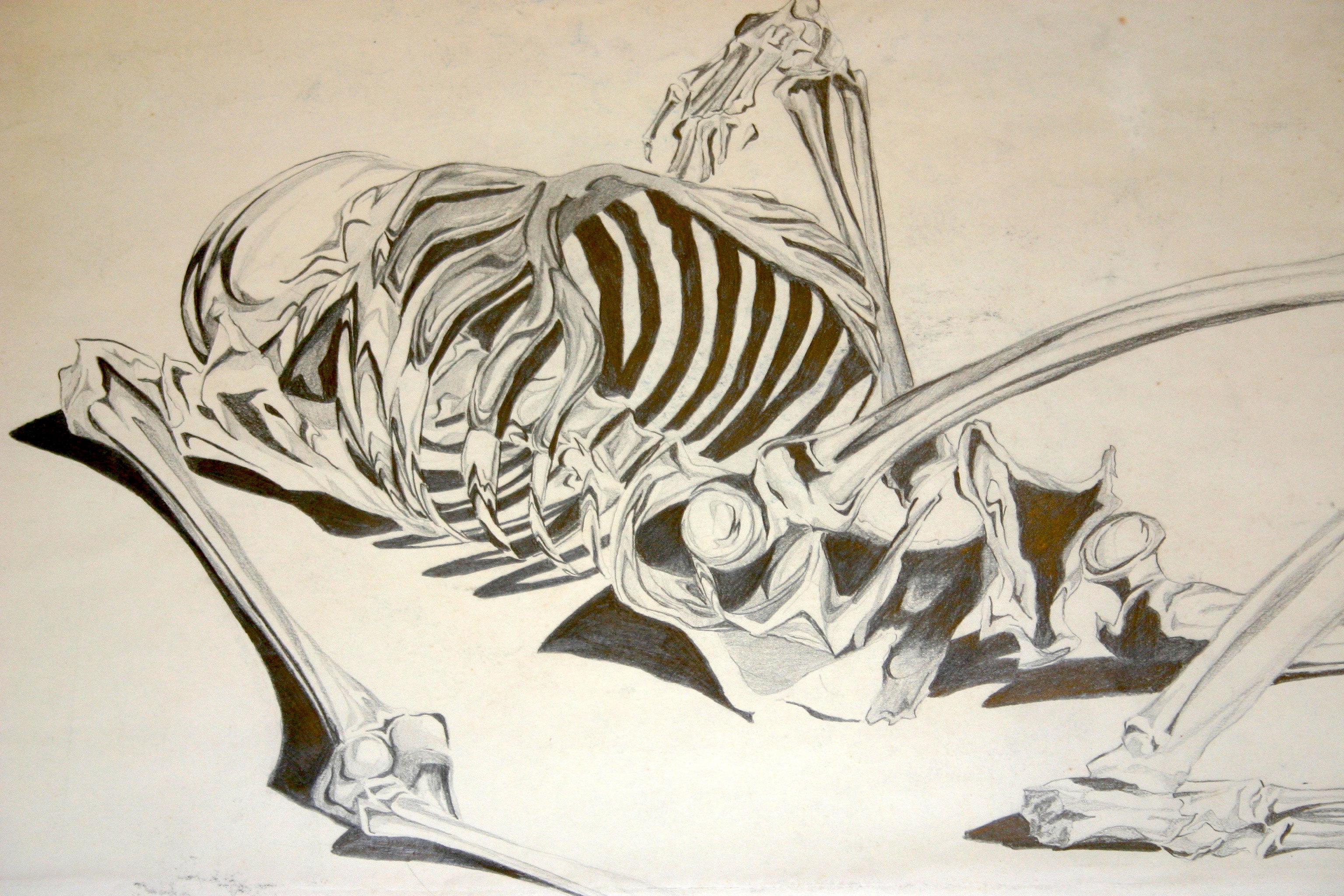 High school art scholarship entry. Not available for ArtWalk