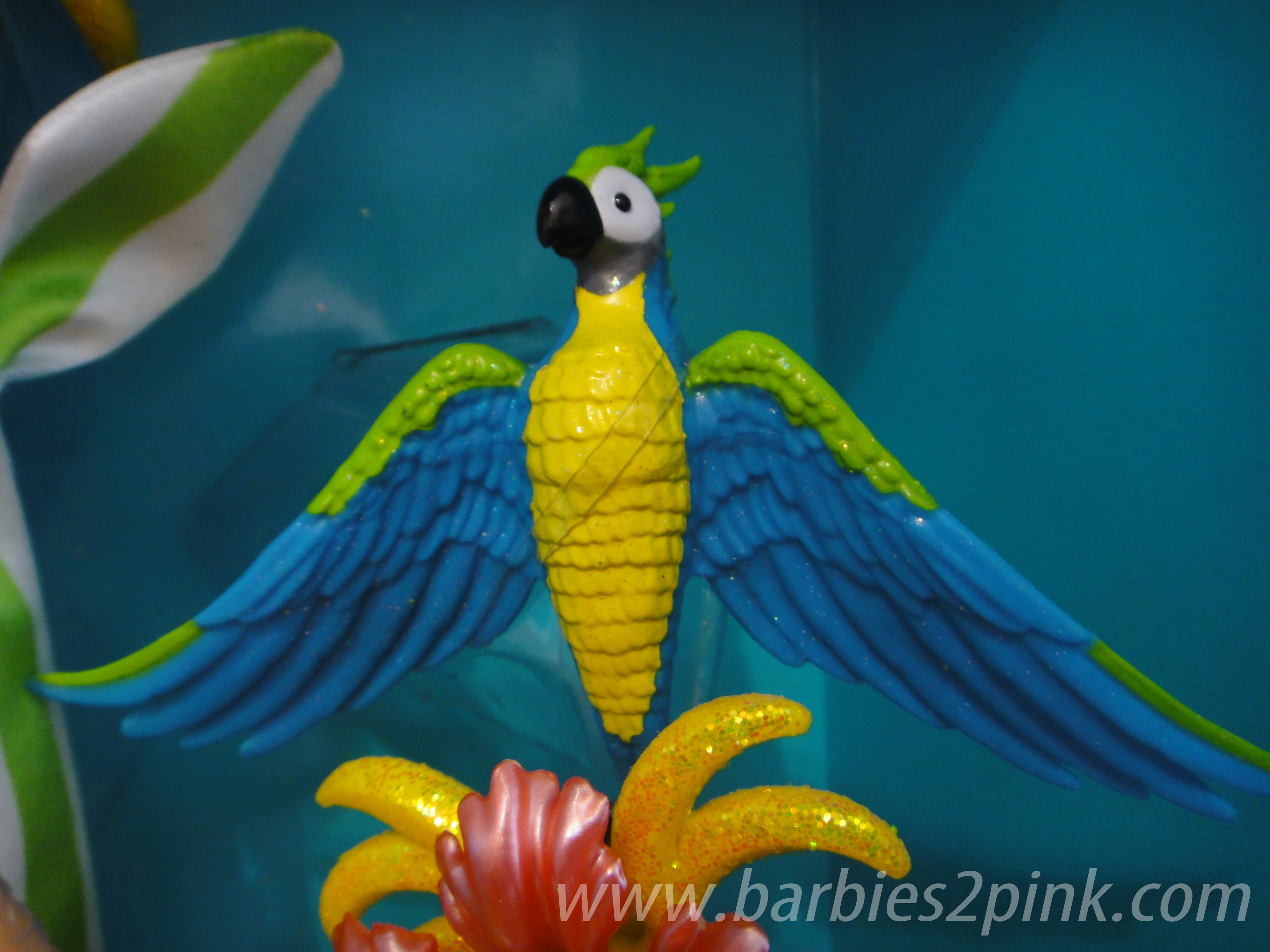 A arara, ave típica de florestas tropicais | Foto: Caori