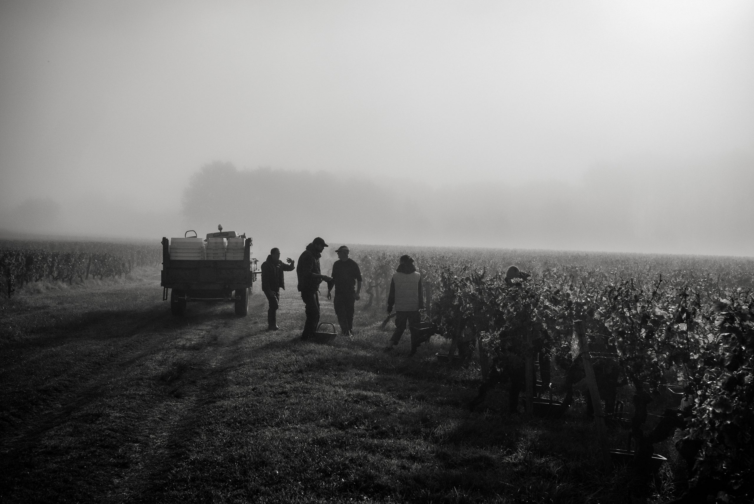 Photographie de vin et spiritueux par Fred Encuentra, BarbotStudio