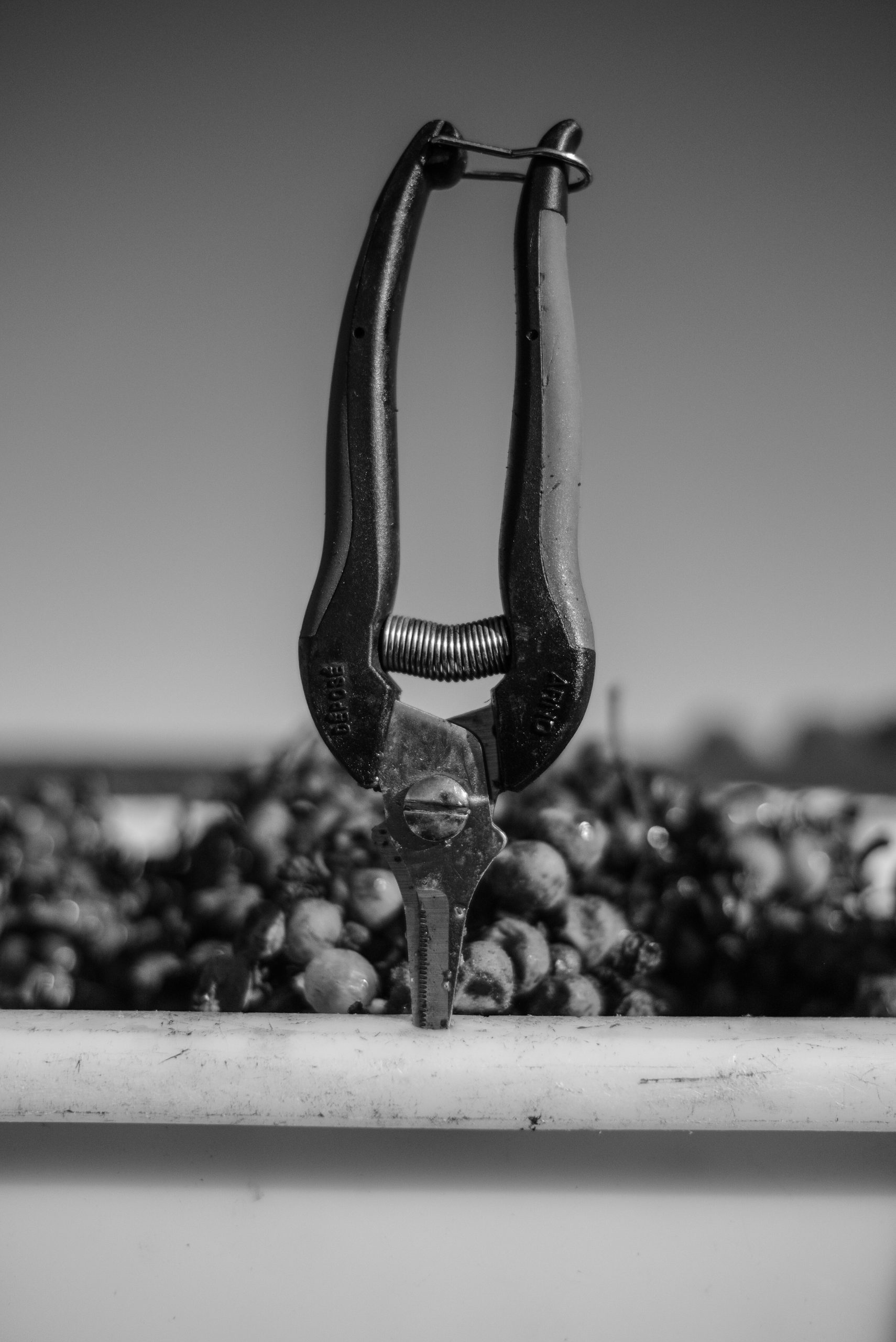 Photographie de vin et spiritueux par Fred Encuentra, BarbotStudio