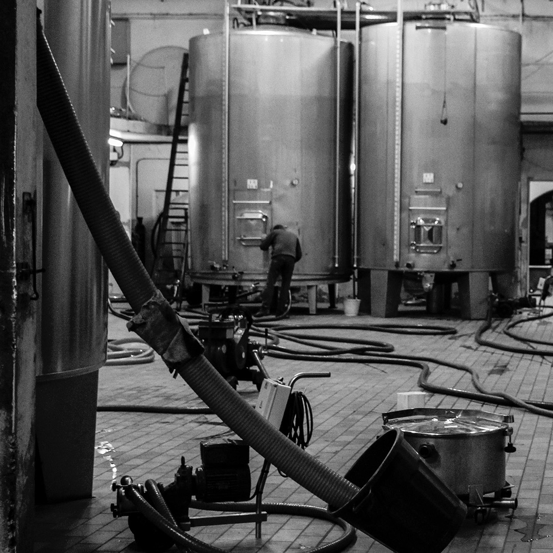 Travail en cuverie pendant la vinification