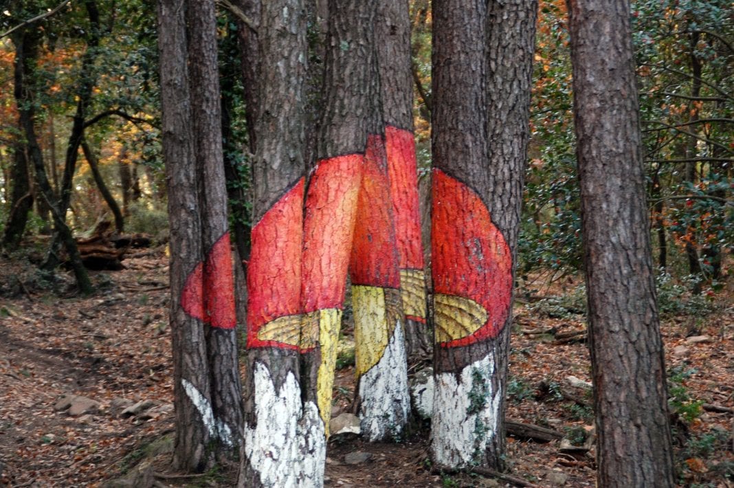 7 planes para hacer con niños cerca de barcelona. 10 Excursions To Do With Children Barcelona Colours