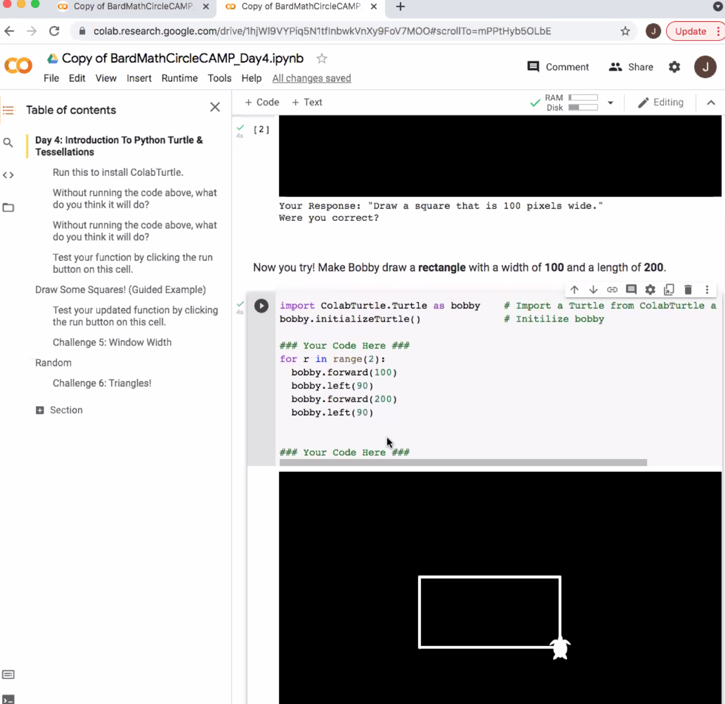 CAMPer's work on Python Turtle