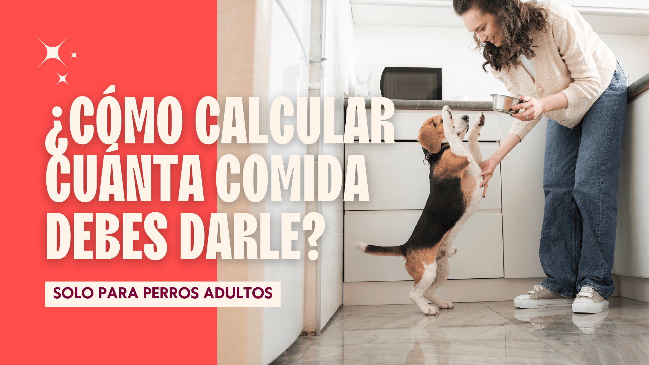 Una mujer sirviendo una porción de comida a su perro, que se levanta sobre sus patas traseras. La imagen ilustra cómo calcular la cantidad de comida para un perro adulto en una dieta natural.