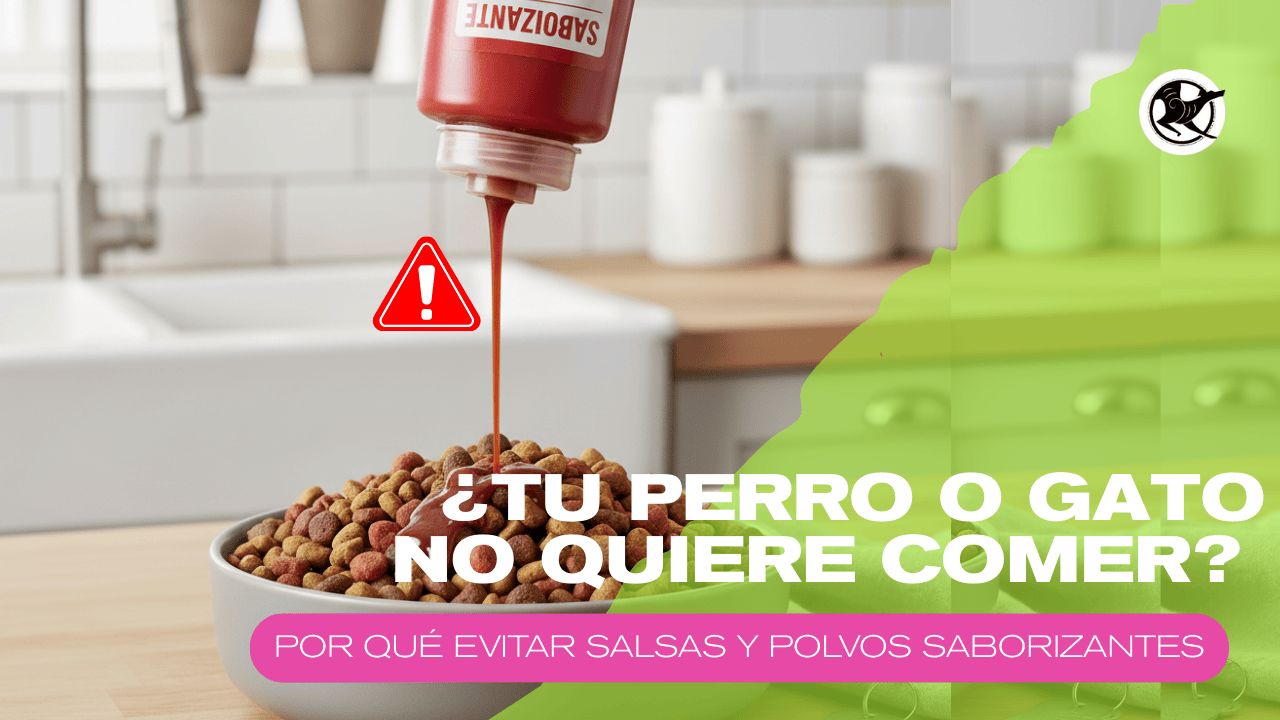 Tu mascota no quiere comer