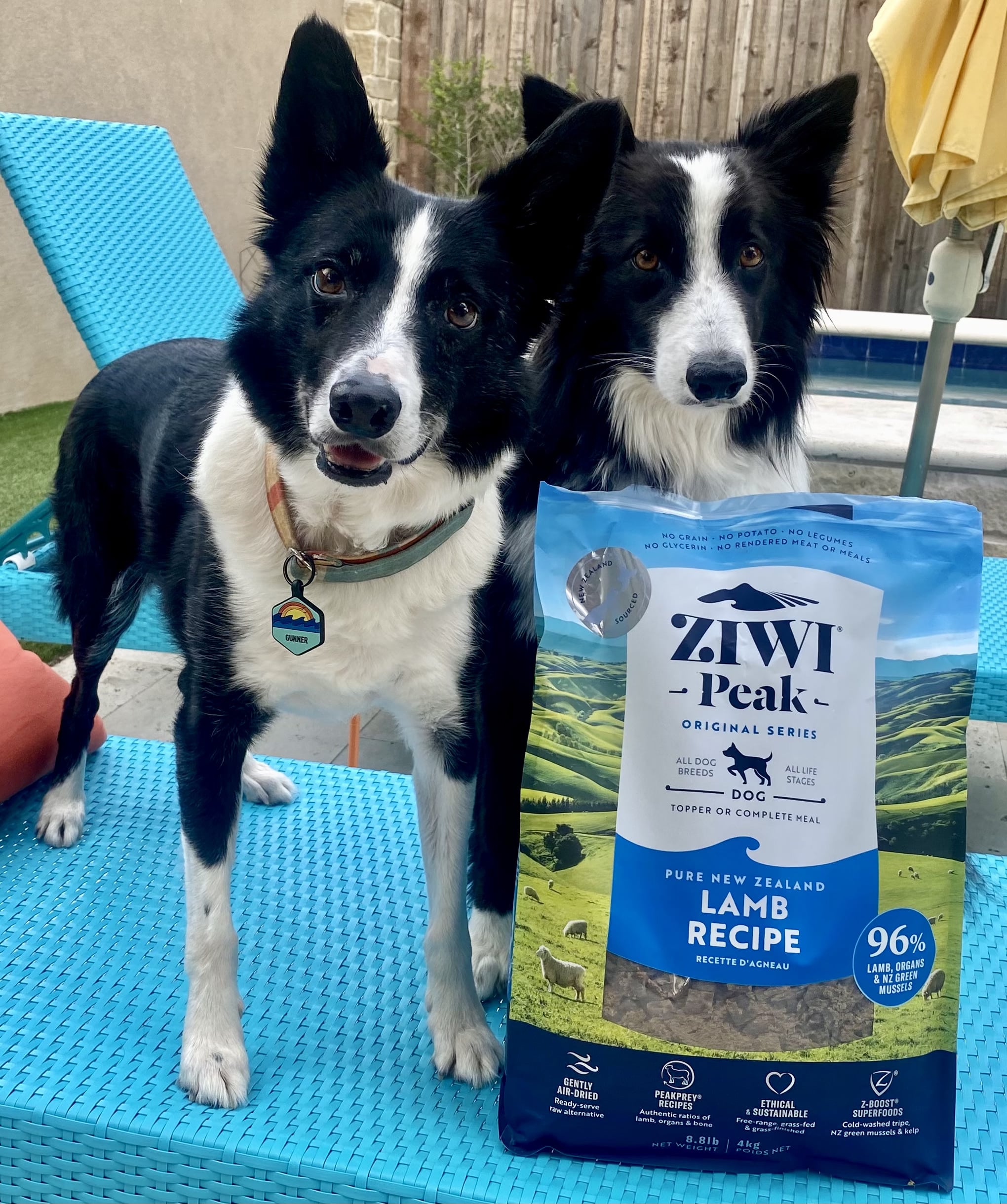 Ziwi Peak Raw Alternative Gently Processed Dog Food BarkSpot
