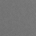 Premium Luxury Ribble Fossil
