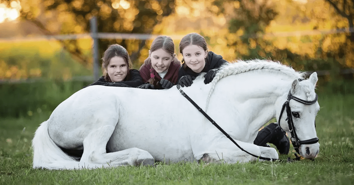 Reiten für kinder