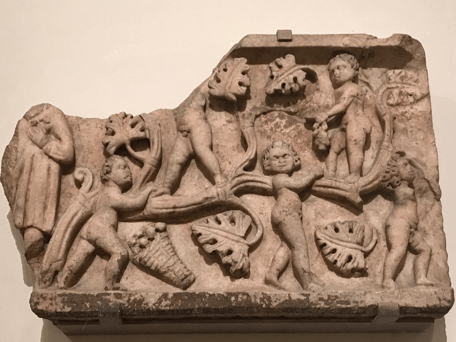 Bas Rilief Vines Boston