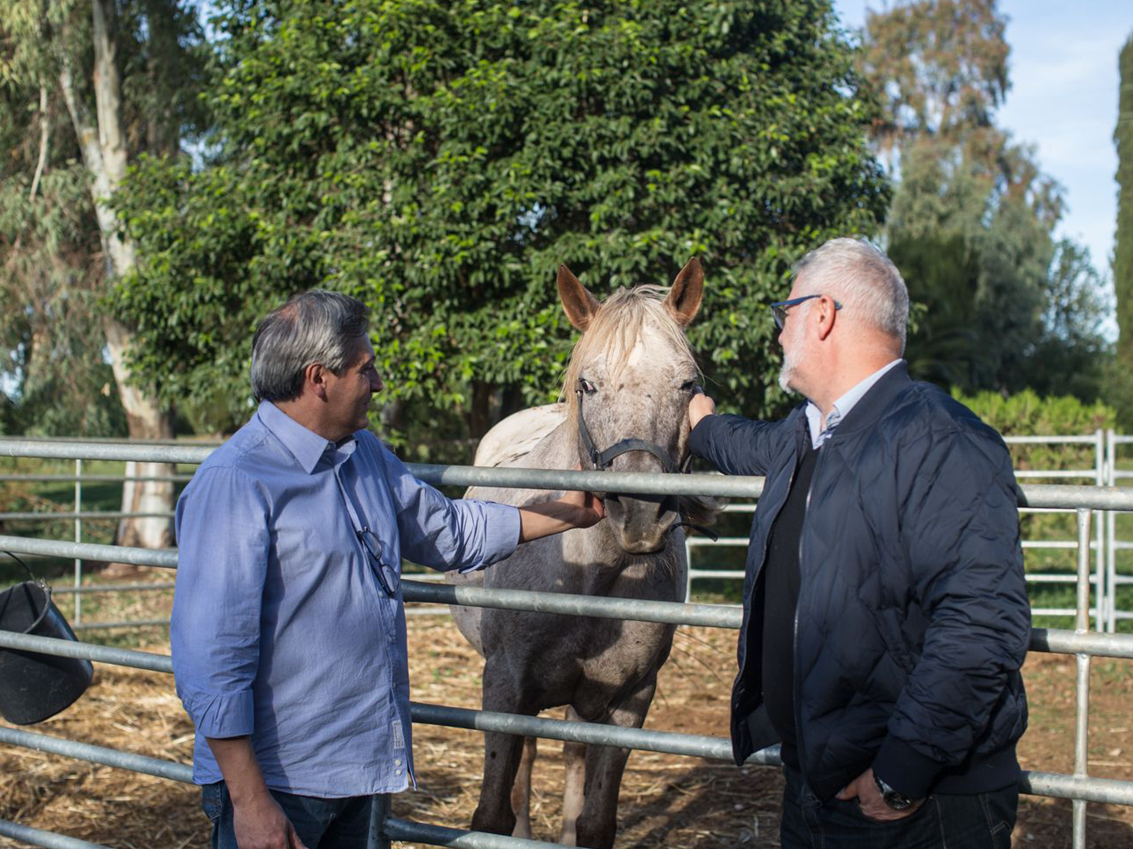 Volpetti Countryside