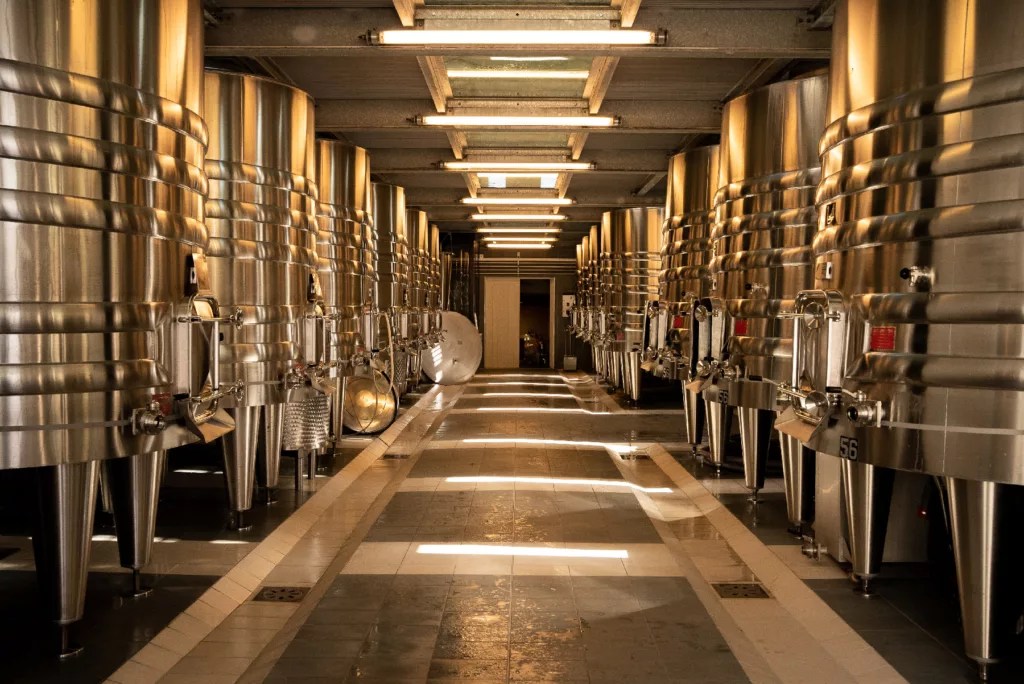 vinification-1024x684