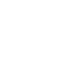 Google-business-icon