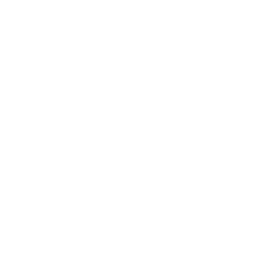 instagram-icon