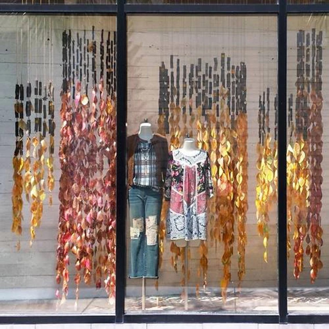 fall window