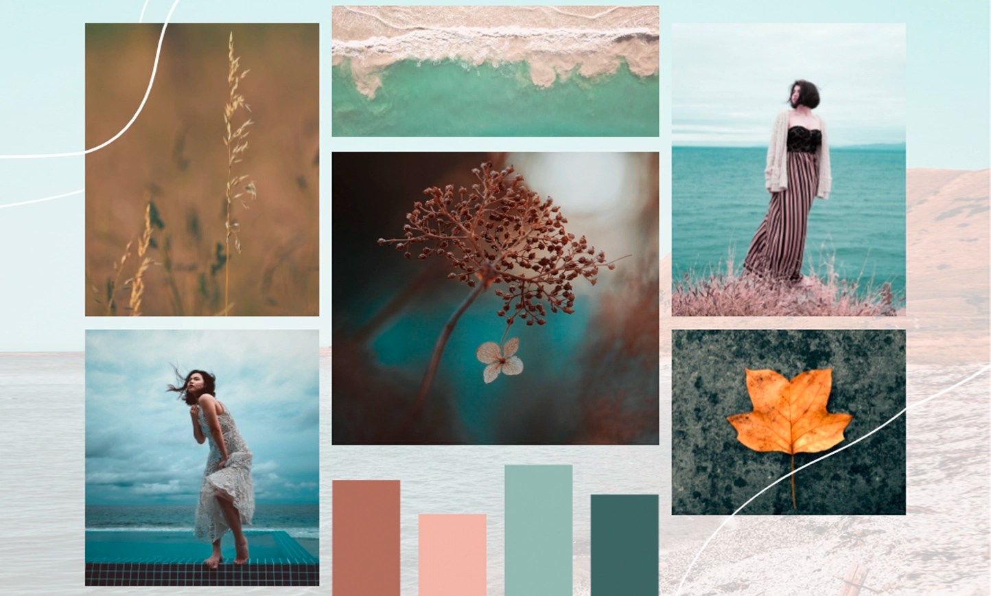 moodboard barronvisual 2