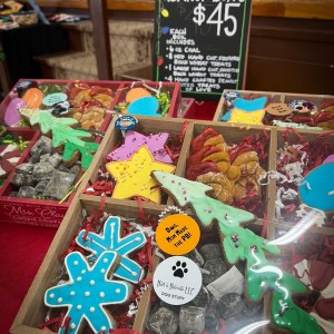 "Barty Boxes" Christmas Cookies from Santa!