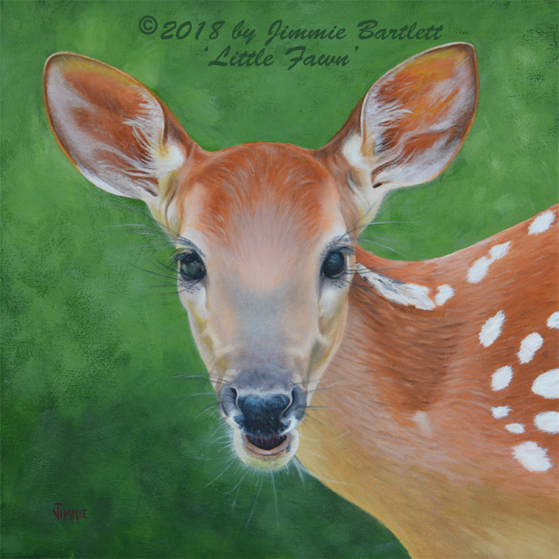 Little Fawn prints of original