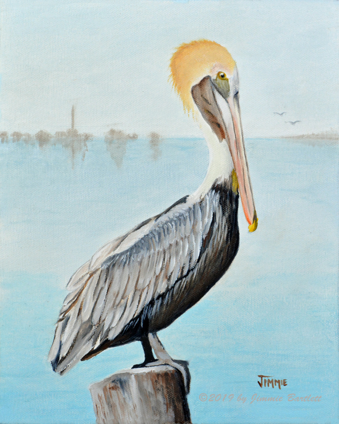 Pelican Watch