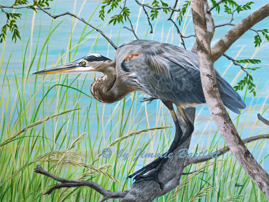 Blue Heron in the Bush prints of original
