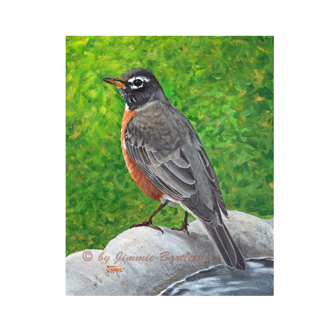 Robin, prints of original painting