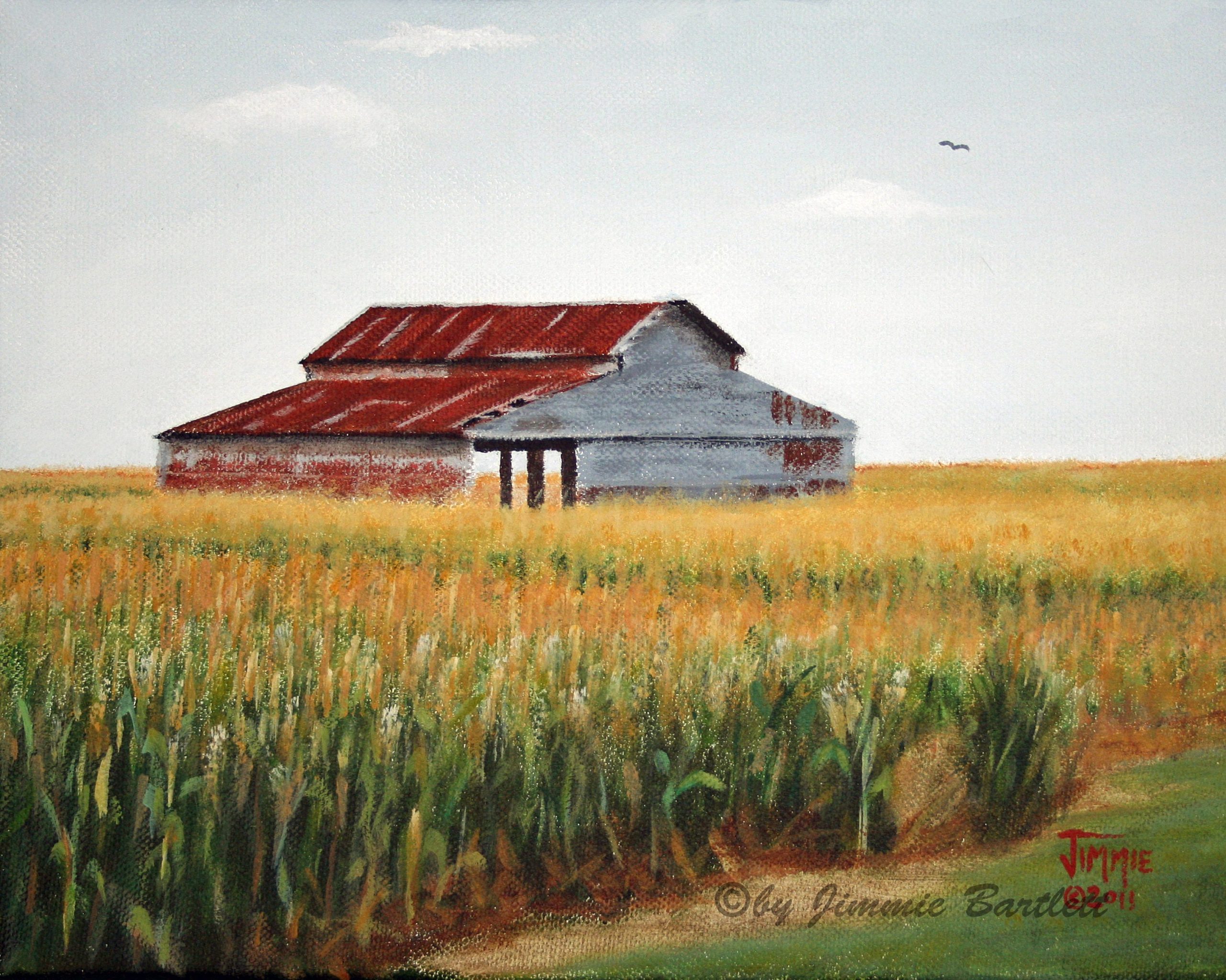 Corn Field Barn, art prints of original