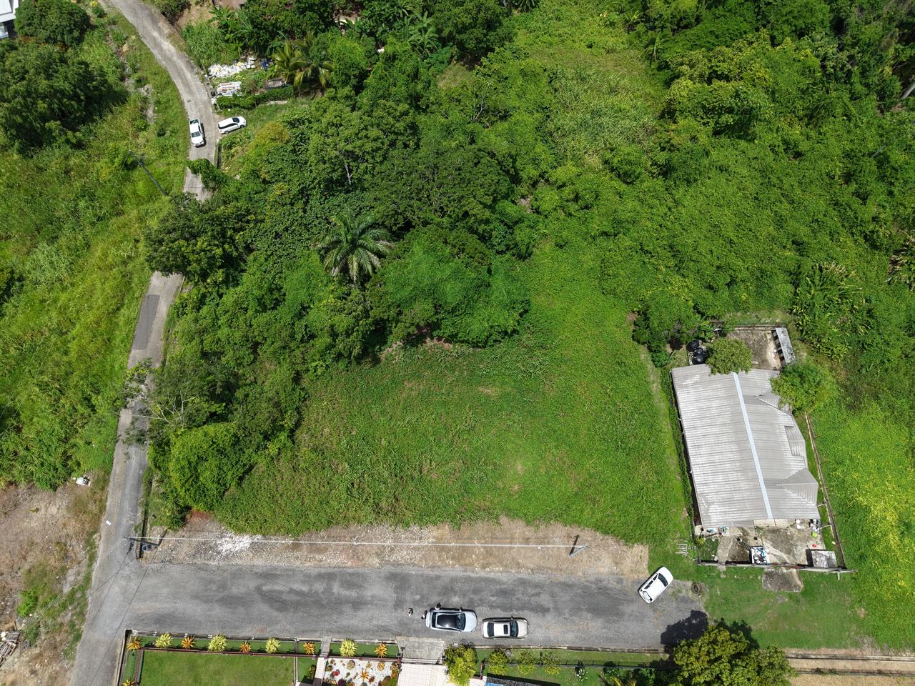 cedar grove palmiste land for sale in trinidad