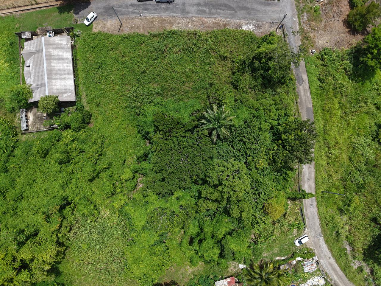 cedar grove palmiste land for sale in trinidad
