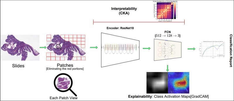 Github Barulalithb Analyzing Neuroface Orofacial Features This Repo - Beautiful HD Dark Patterns | Free Download