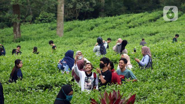 Pangalaman pribadi pikaseurieun abdi, nguseup lauk di walungan selain diam . Cerita Pangalaman Karangan Liburan Sakola Ka Puncak Bogor