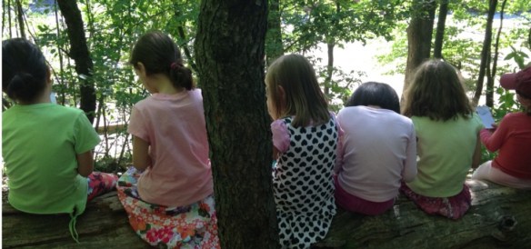 Naturewalk