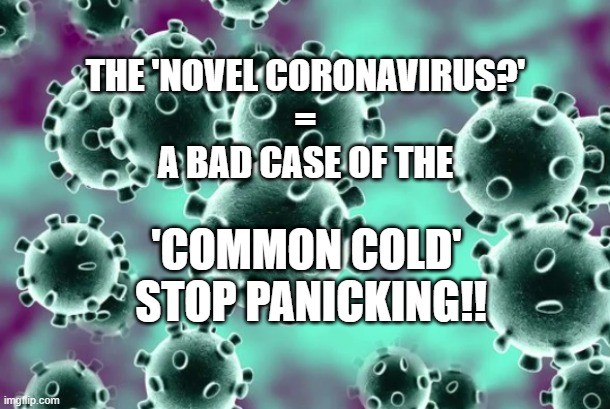 COMMON COLD CORONAVIRUS 2