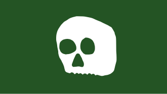Barbary Corsairs Flag With Skull