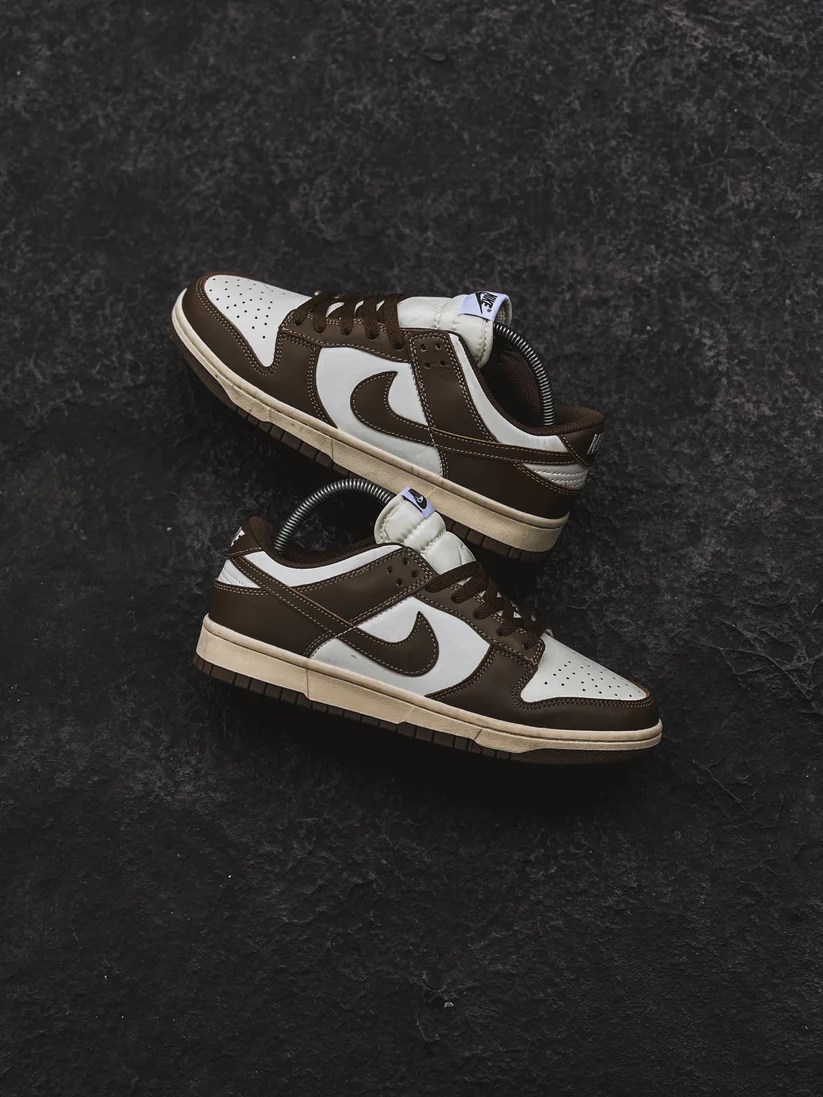 Nike Sb Dunk Low Pro Mare Blanco