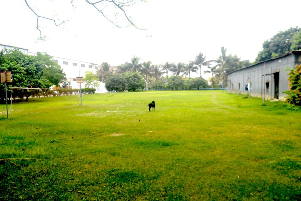 WhatsApp Image 2022-04-06 at 11.34.50 AM (2)