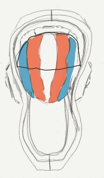 A depiction of a small, partially inflated beach ball sitting within the helmet, holding the Worbla in place