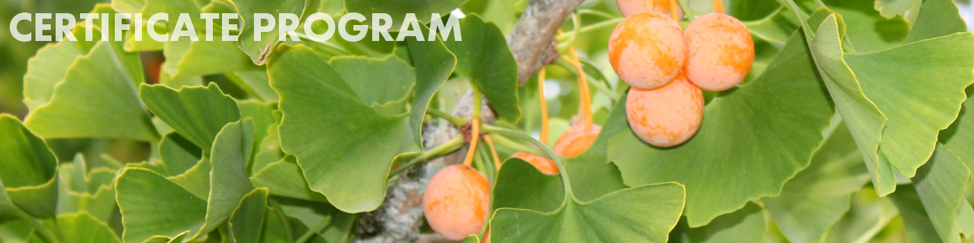 Certificate program