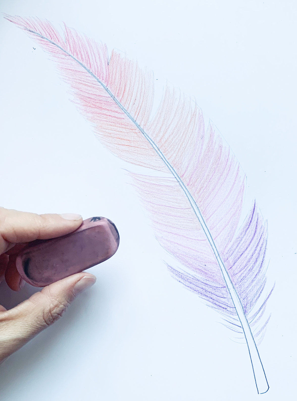 Learning how to draw a feather with markers isn't as difficult as you may think. How To Draw A Feather With Color Basicdraw Com
