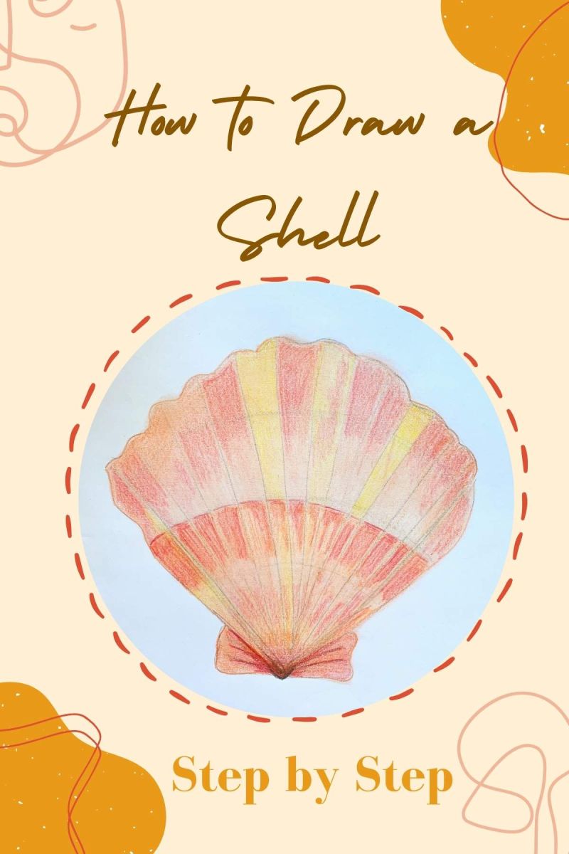 How To Draw A Seashell In 12 Simple Steps - Colorful Images - Ultra HD Retina Collection