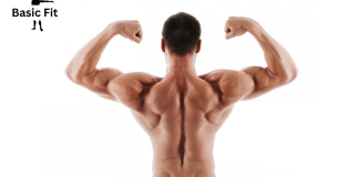 “Top 6 Upper Body Exercises for Building Muscle Mass” Upper Body Exercises