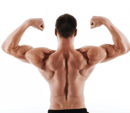 “Top 6 Upper Body Exercises for Building Muscle Mass” Upper Body Exercises