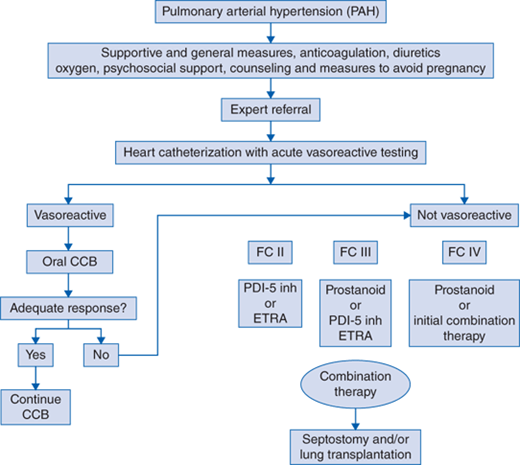 120: Pulmonary Arterial Hypertension | Basicmedical Key